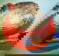 Routleys Bakery - Yamba Accommodation