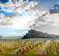 Fallen Giants Vineyard - Yamba Accommodation