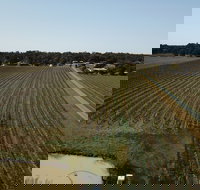 Wine in a Glass - Yamba Accommodation