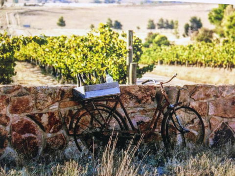 Booths Taminick Cellars - Yamba Accommodation 1
