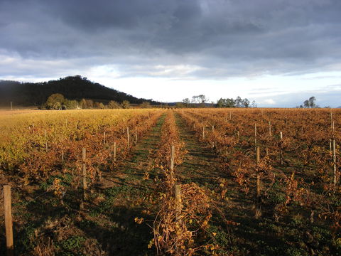 Booths Taminick Cellars - Yamba Accommodation 2
