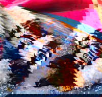 Donut King - Taylors Lakes - Yamba Accommodation