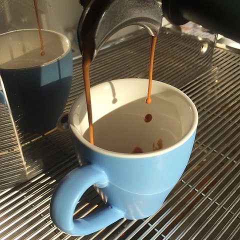 Miss Peppercorn - Yamba Accommodation 0