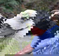 Providence Vineyards - Yamba Accommodation