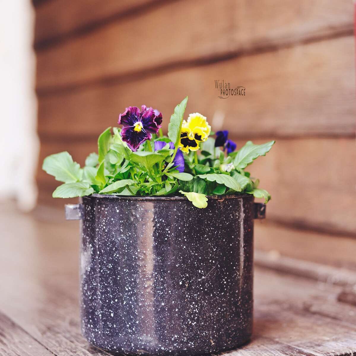 Balladong WA Yamba Accommodation