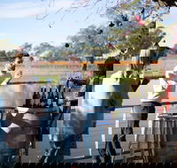 Balnaves of Coonawarra - Yamba Accommodation