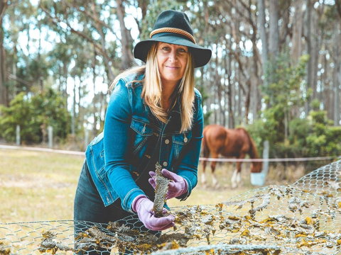 MbK For Life - Mystery Bay Kelp - Yamba Accommodation 0