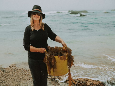 MbK For Life - Mystery Bay Kelp - Yamba Accommodation 2