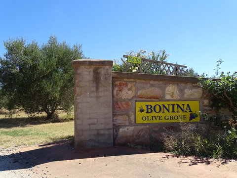 Bonina Olive Grove - Yamba Accommodation 1