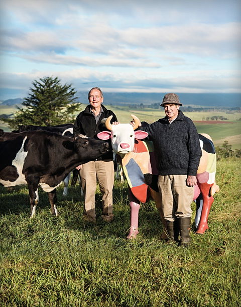 Ashgrove Farm Cheese - Yamba Accommodation 1