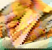 Mrs. Fields - Taylors Lakes - Yamba Accommodation