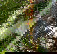 Velvet  Willow - Yamba Accommodation