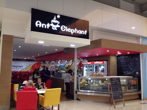 Ant & Elephant - Yamba Accommodation 0