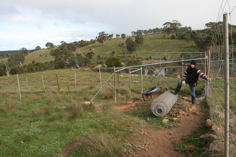 Hahndorf Venison - Yamba Accommodation 1
