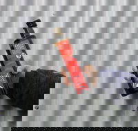 Red Rock Olives - Yamba Accommodation