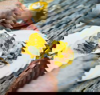 Travelling Bandit - Yamba Accommodation