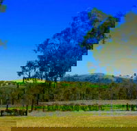 Degen Wines - Yamba Accommodation