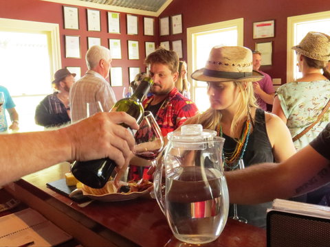 Norton Estate Wines - Yamba Accommodation 1