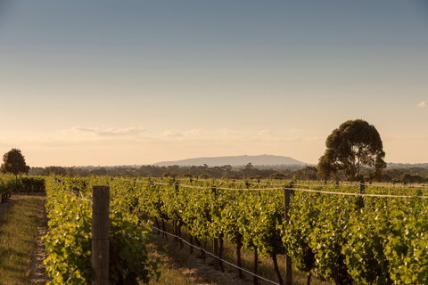 Norton Estate Wines - Yamba Accommodation 2