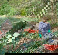 Sweet Water Farm - Yamba Accommodation