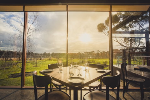 Stumpy Gully Vineyard - Yamba Accommodation 1