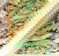 Eastern Palace - Yamba Accommodation