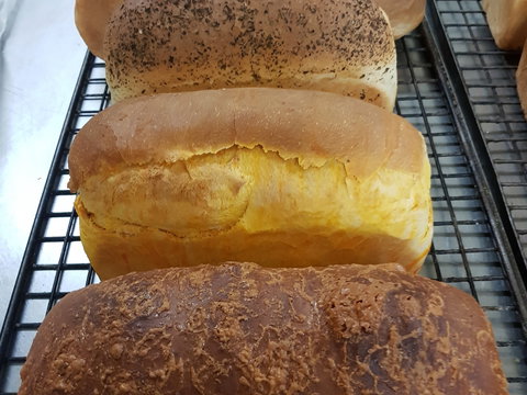 Plantation Organic Bakery - Yamba Accommodation 0