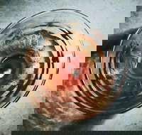 Checkpoint Charlie - Yamba Accommodation