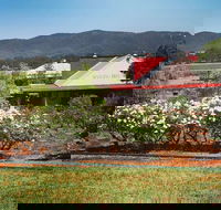 Hanging Tree Wines - Yamba Accommodation