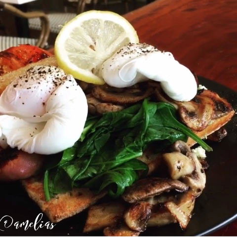Amelia's Bakery - Yamba Accommodation 0
