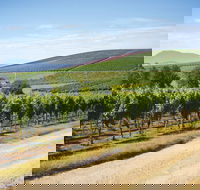 Jansz Tasmania - Yamba Accommodation