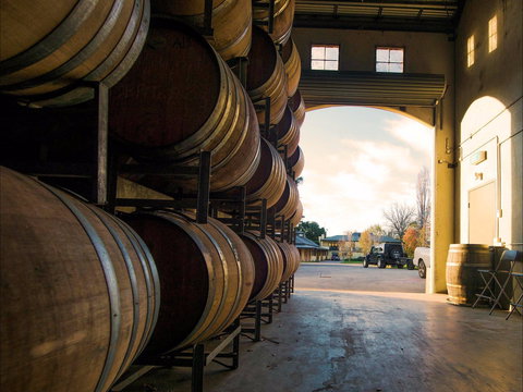 Eling Forest Cellar Door And Cafe - Yamba Accommodation 2