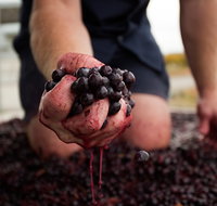 Tomfoolery Wines - Yamba Accommodation