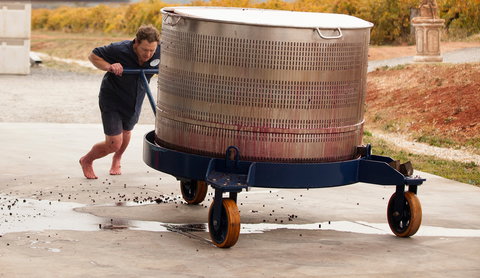 Tomfoolery Wines - Yamba Accommodation 1