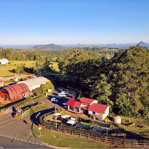 Live Foods Cafe - Yamba Accommodation 0