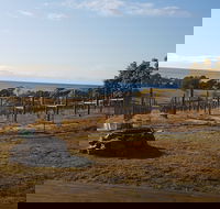 Overtime vineyard - Yamba Accommodation