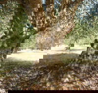 Lentara Grove - Yamba Accommodation