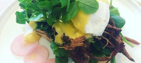 Ajanta - Yamba Accommodation 2