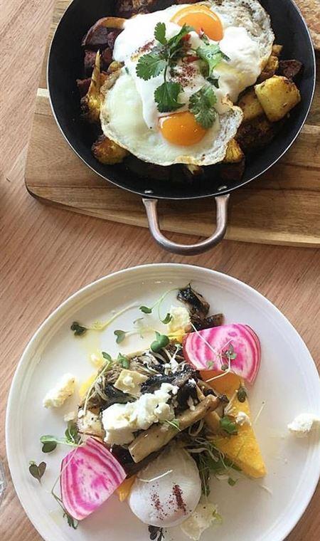 Ajanta - Yamba Accommodation 4