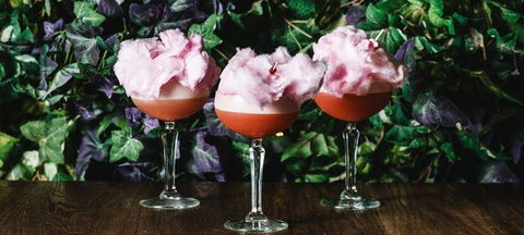 Assembly Bar - Yamba Accommodation 2