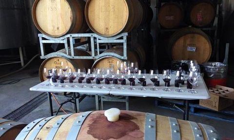 Currency Creek Winery Restaurant - Yamba Accommodation 12