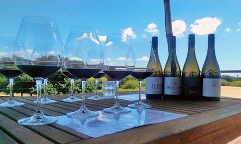 Currency Creek Winery Restaurant - Yamba Accommodation 14