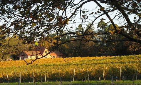 Currency Creek Winery Restaurant - Yamba Accommodation 5