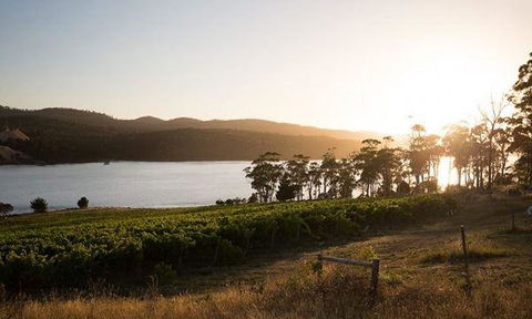 Currency Creek Winery Restaurant - Yamba Accommodation 8