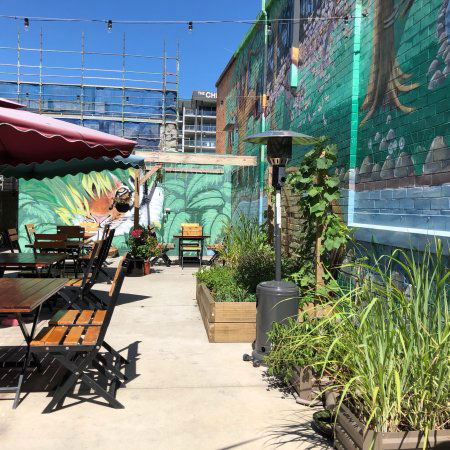 O Cha Cha - Yamba Accommodation 0