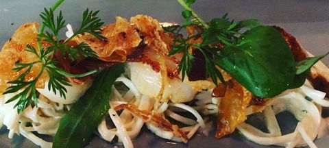 Paddock & Vine - Yamba Accommodation 1