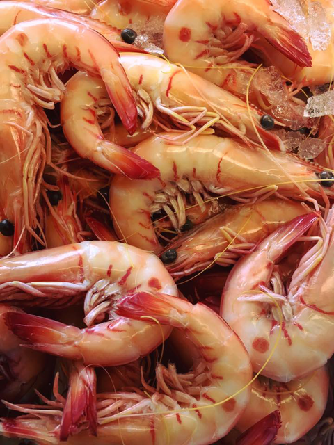 Fraser Shores Seafood - Yamba Accommodation 4