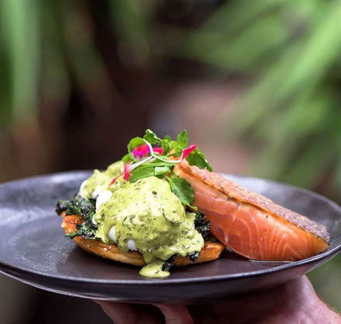 Armchair Collective - Yamba Accommodation 9