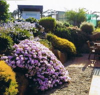Pipers River Tea House and Crafts - Yamba Accommodation