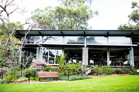 Zamia Cafe - Yamba Accommodation 0